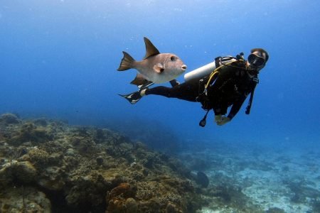 Diving in Cozumel